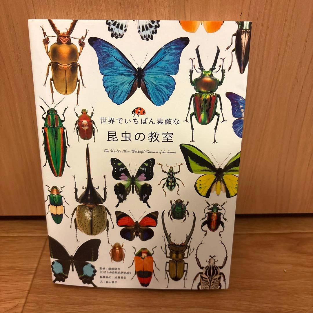世界でいちばん素敵な昆虫の教室