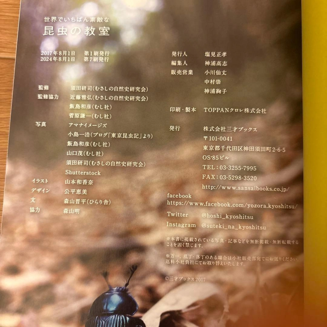 世界でいちばん素敵な昆虫の教室の写真4枚目