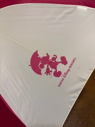 東京ディズニーリゾート ミニー＆ミッキー 長傘 美品 パーク限定