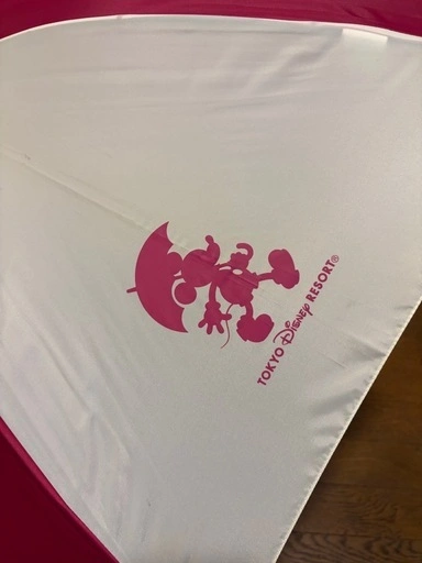東京ディズニーリゾート ミニー&ミッキー 長傘 美品 パーク限定