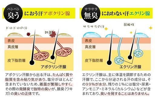 新品★制汗剤 普通肌用 2個セット②の写真5枚目