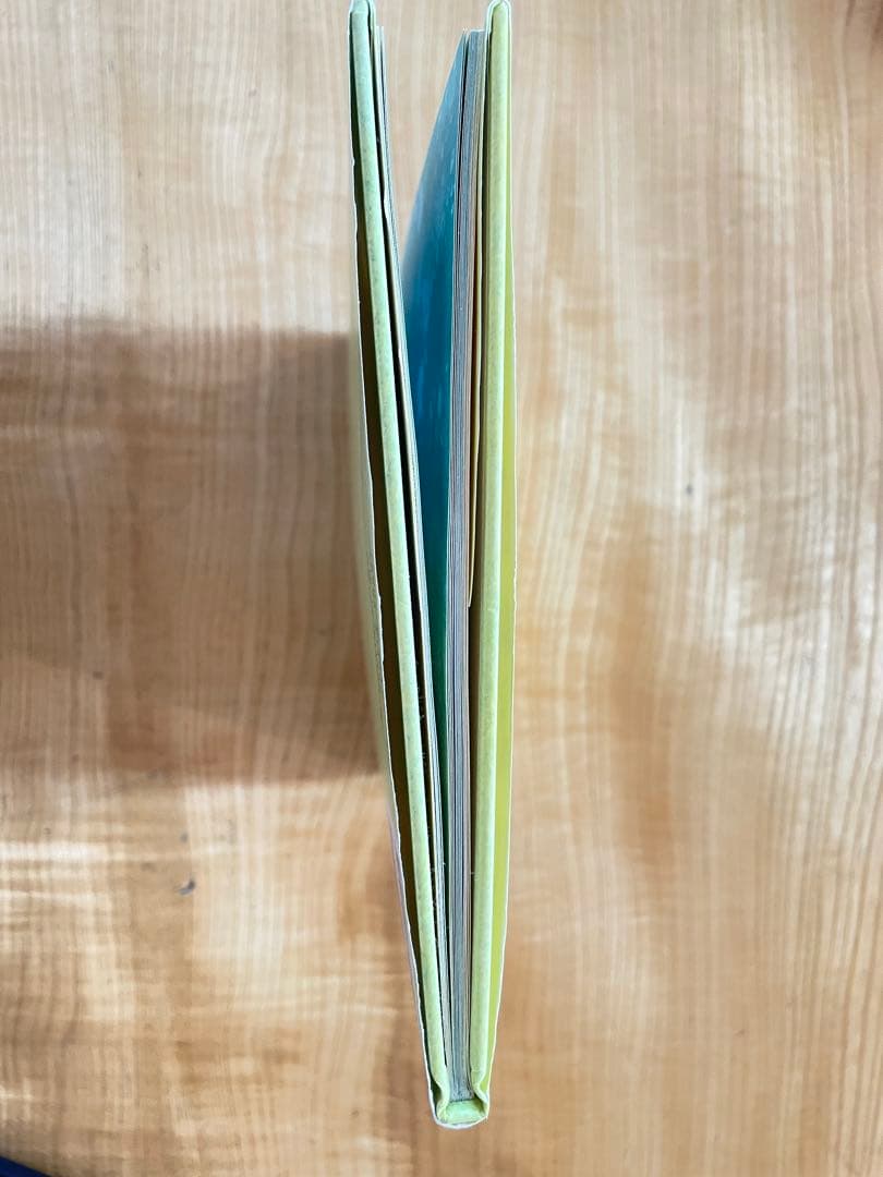 【破れ汚れ無し】つみきのいえの写真3枚目