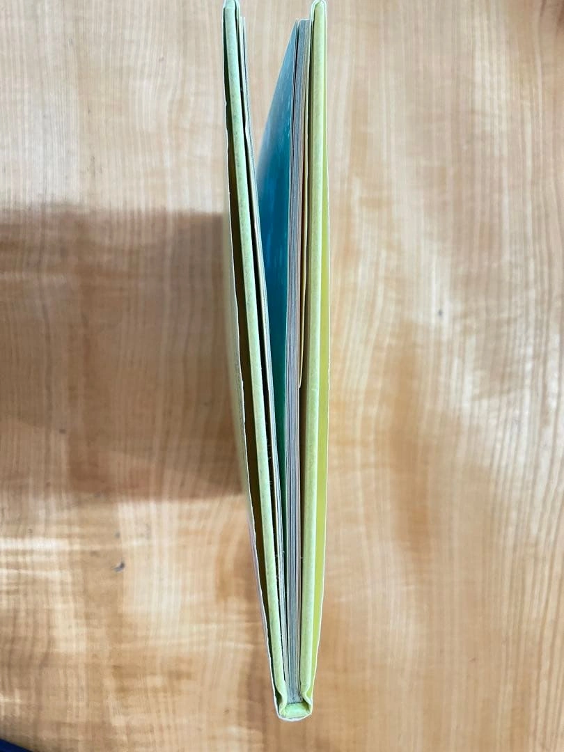 【破れ汚れ無し】つみきのいえの写真3枚目