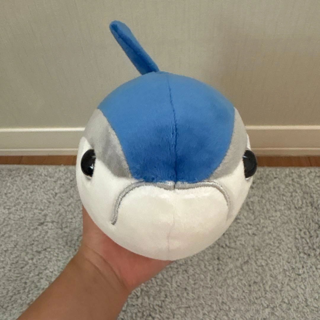 カツオくじ CUTE ぬいぐるみ カツオの写真4枚目