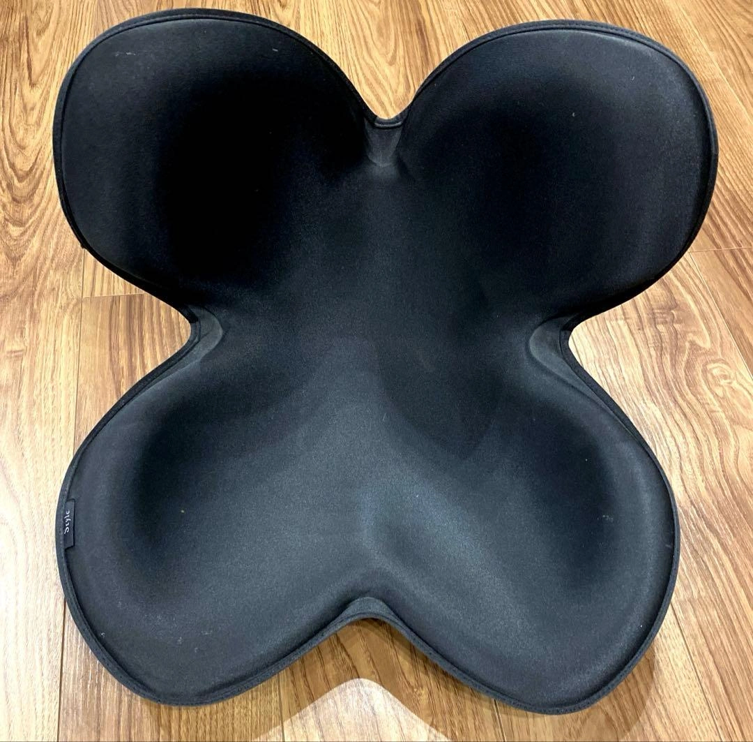MTG骨盤サポートチェア Body Make Seat Style