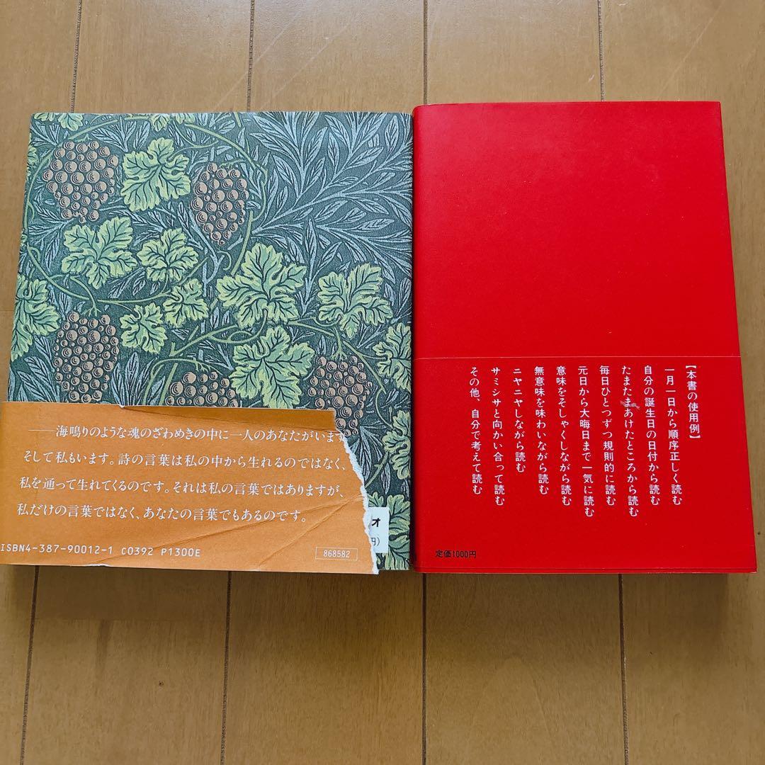 谷川俊太郎 詩集 2冊セットの写真2枚目