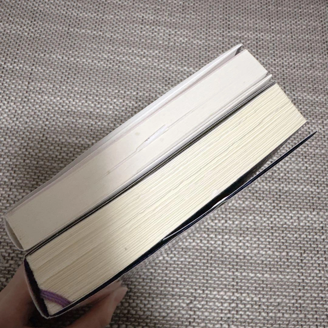 東野圭吾 小説 2冊セットの写真3枚目
