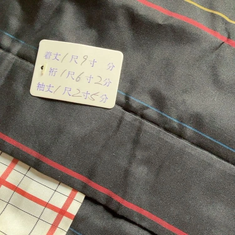 ブラックー ストライプ 羽織の写真5枚目