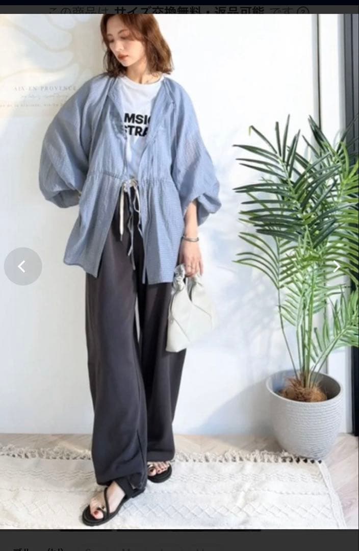 クラシカルエル長袖 シアーブラウス ブルーの写真2枚目