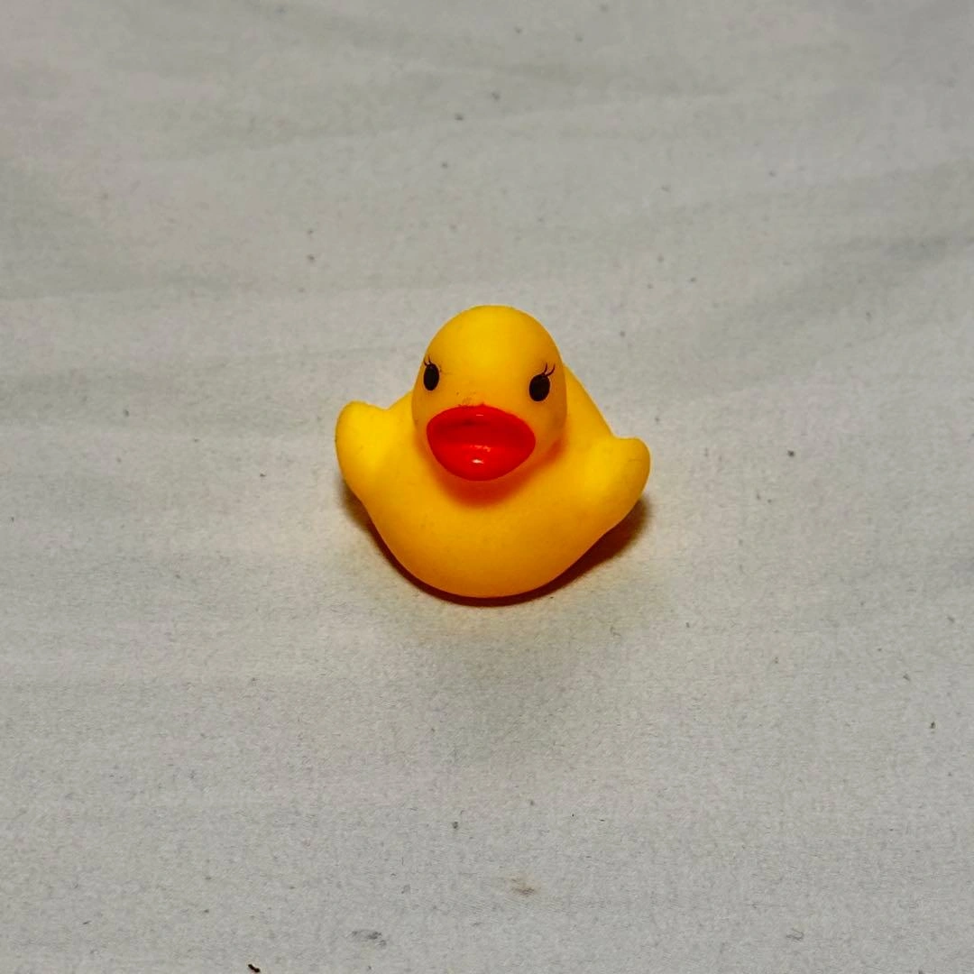 アヒル