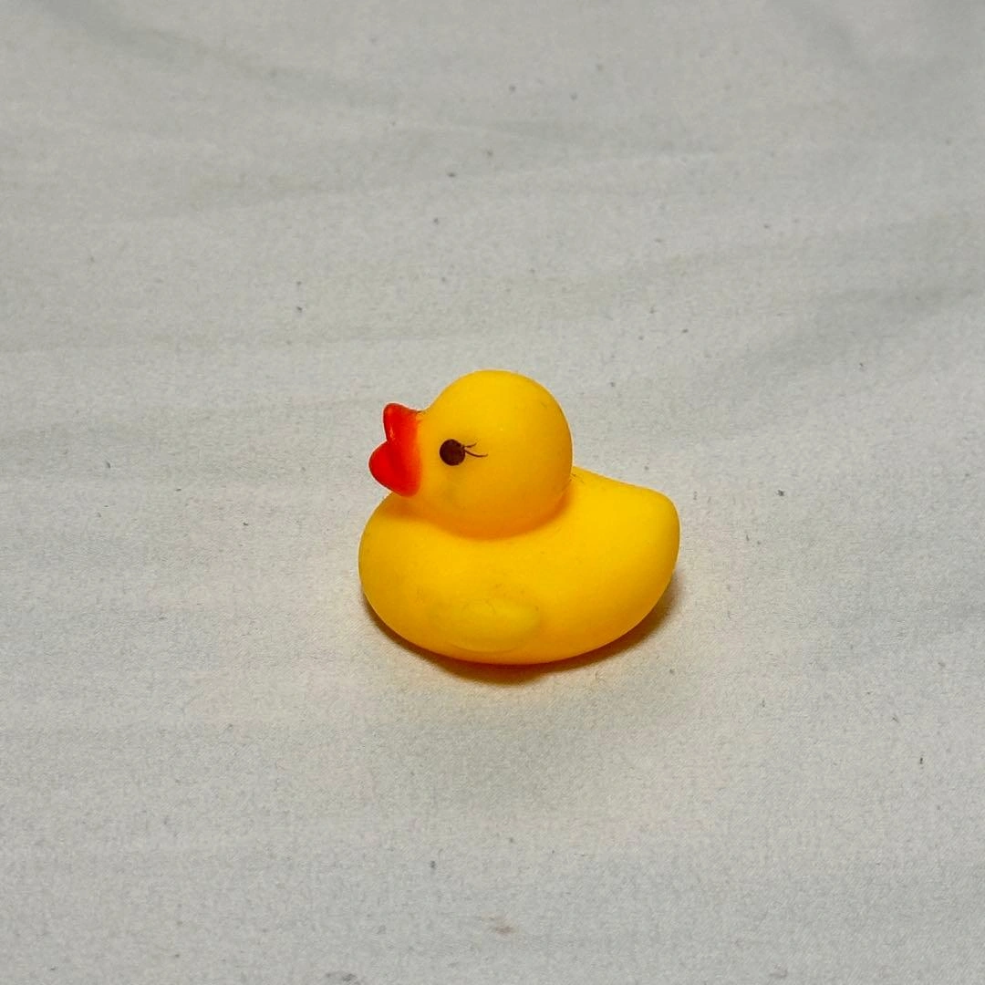 アヒルの写真2枚目