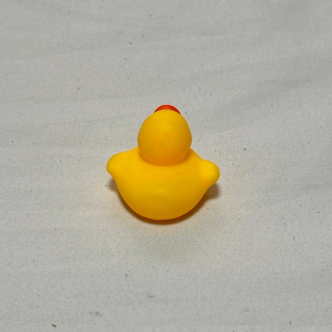 アヒルの写真3枚目