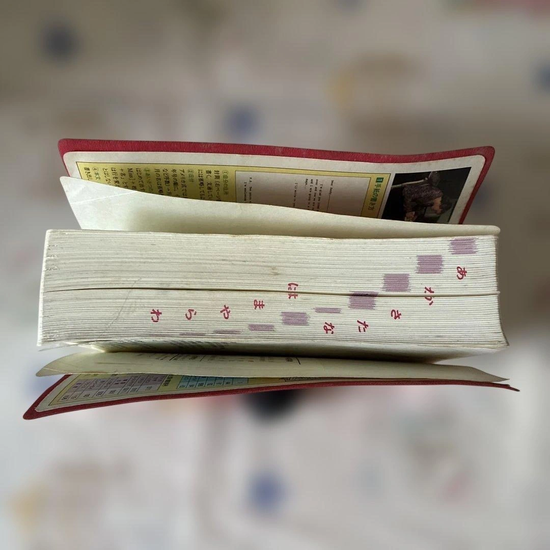 The New Anchor Japanese-English Dictionaの写真7枚目