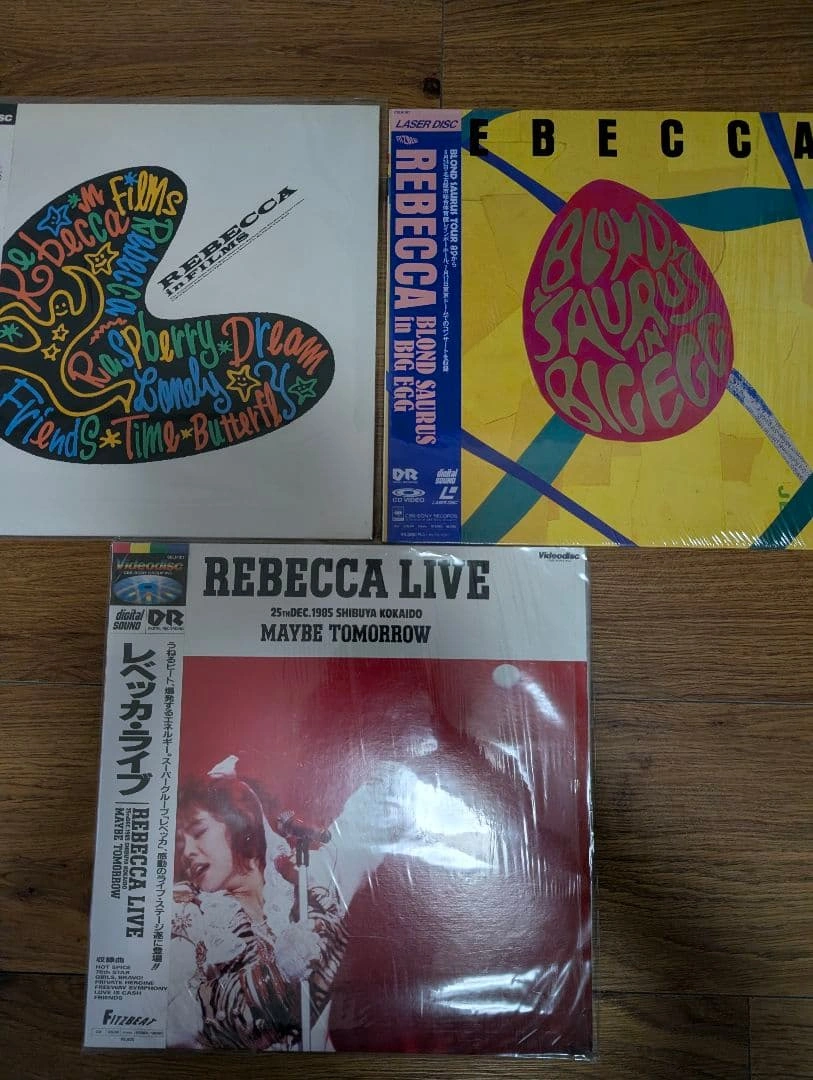 REBECCA レーザーディスク 3枚セット