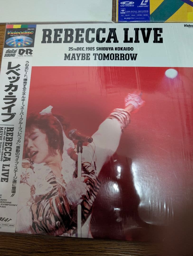 REBECCA レーザーディスク 3枚セットの写真2枚目
