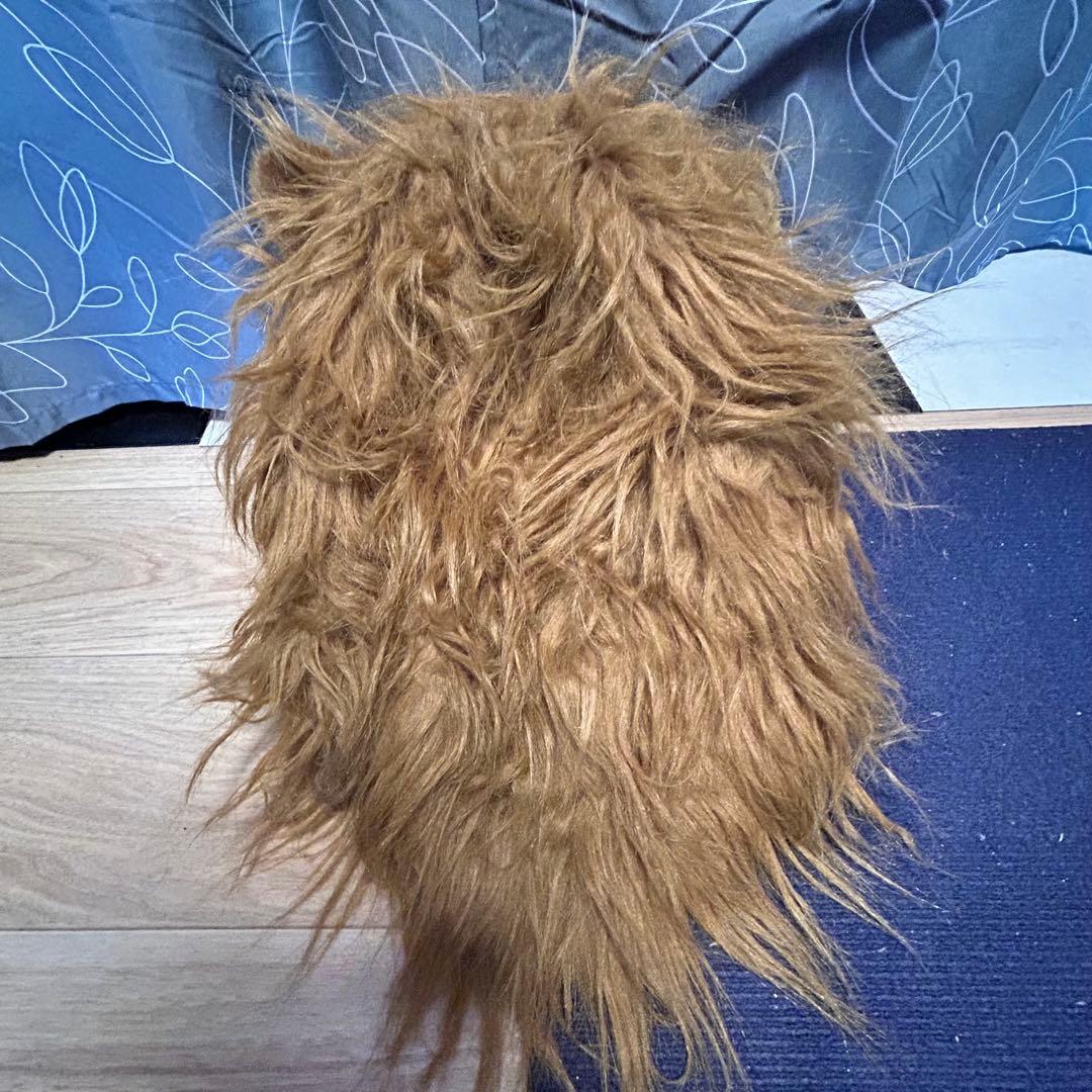 ライオン　ムービングマスクの写真2枚目