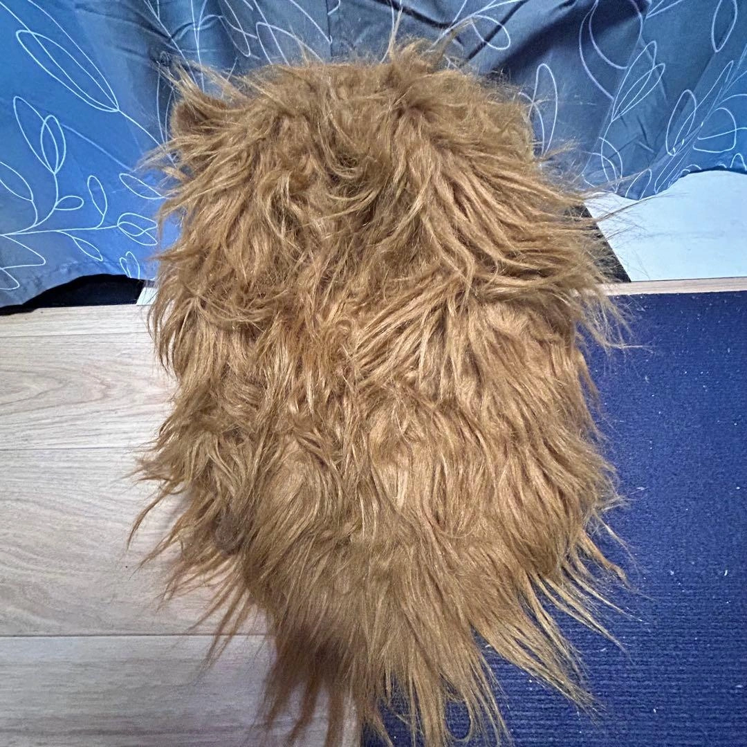 ライオン ムービングマスクの写真2枚目