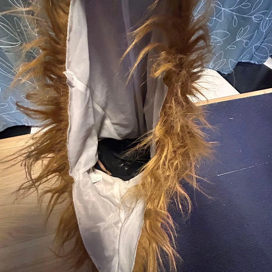ライオン ムービングマスクの写真3枚目