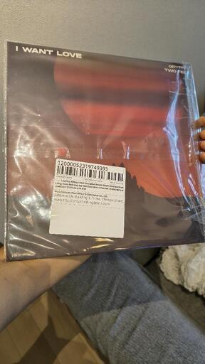 12インチ LP盤 アートパネル 2枚セットの写真4枚目