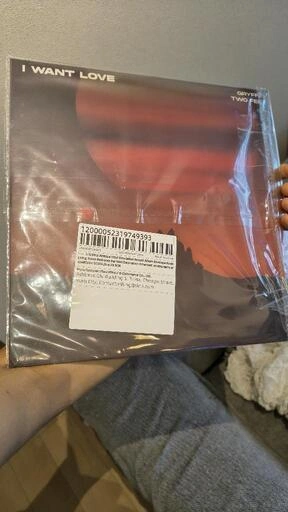 12インチ LP盤 アートパネル 2枚セットの写真4枚目