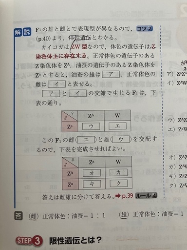 大森徹の生物遺伝問題の解法 合格点への最短距離 〔新装改訂版〕の写真3枚目