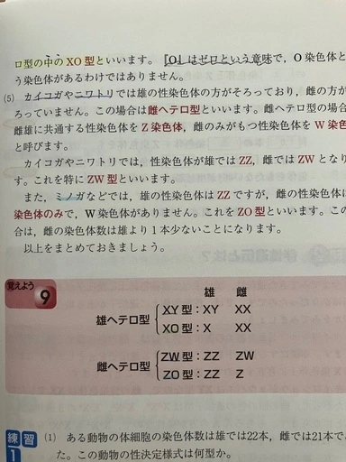 大森徹の生物遺伝問題の解法 合格点への最短距離 〔新装改訂版〕の写真4枚目