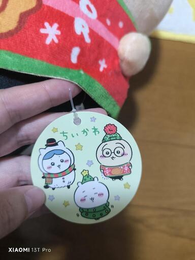 ちいかわ うさぎ ぬいぐるみ タグありの写真2枚目