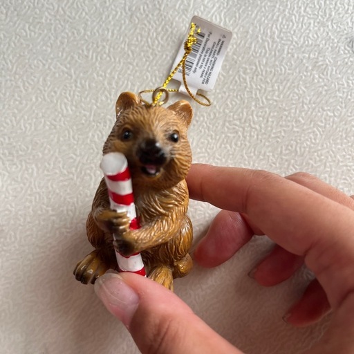 クリスマス トーナメント クオッカの写真2枚目