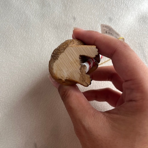 クリスマス トーナメント クオッカの写真3枚目