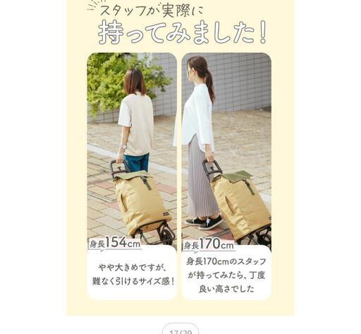 ショッピングカート40L/9月末で処分しますの写真5枚目