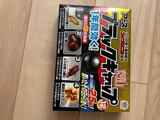 アース　ブラックキャップ11個