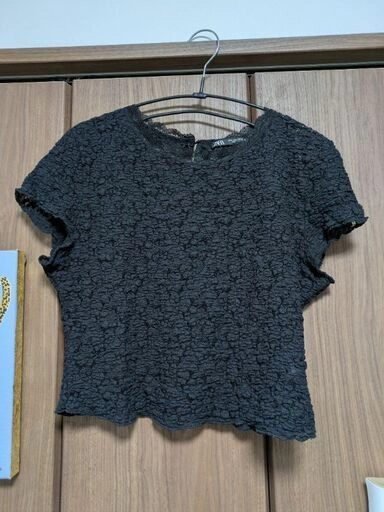 【ZARA】※美品※ザラ 立体テクスチャー 総レース風 半袖カットソー ブラック