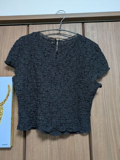 【ZARA】※美品※ザラ 立体テクスチャー 総レース風 半袖カットソー ブラックの写真2枚目