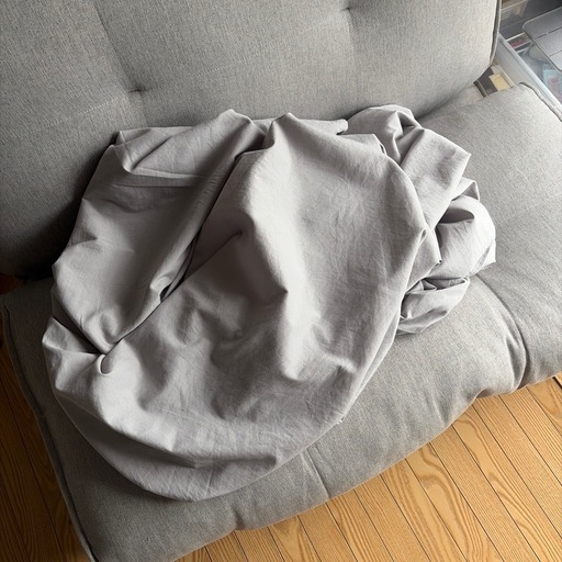 【無料】折りたたみ式床置きソファの写真3枚目