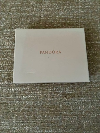 PANDORA パスポートケース カードケース グレー 箱付きの写真5枚目