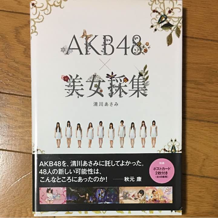 美少女採集 AKB 清川あさみ