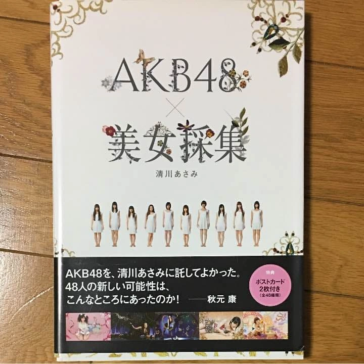 美少女採集 AKB 清川あさみ
