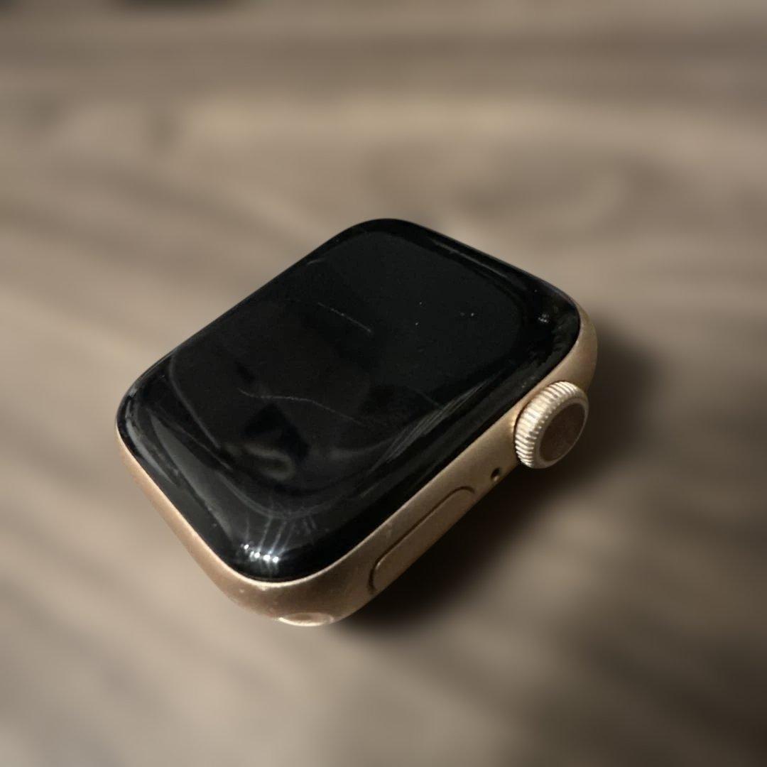 Apple Watch Series6 40mm カバー&バンド付の写真4枚目