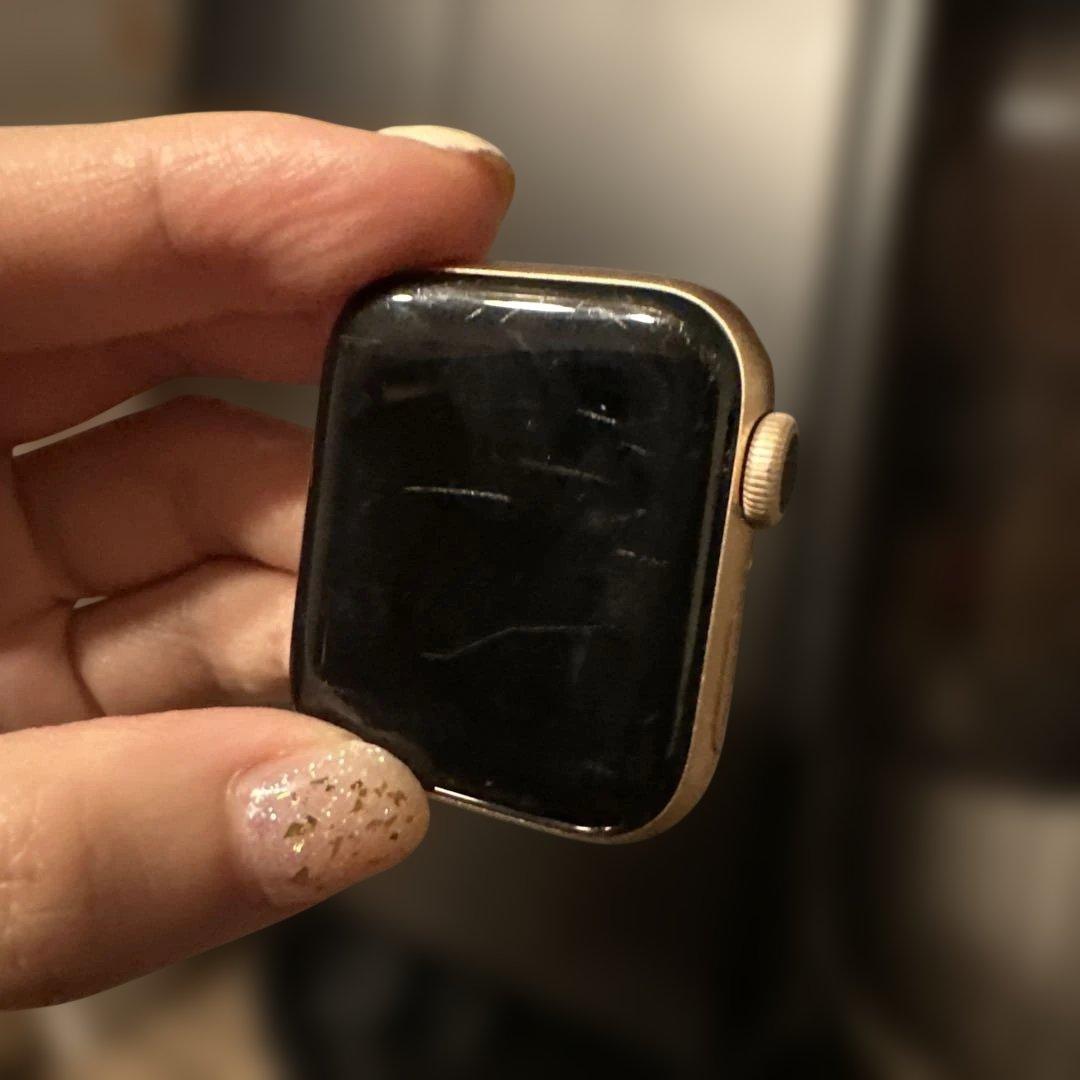 Apple Watch Series6 40mm カバー&バンド付の写真5枚目