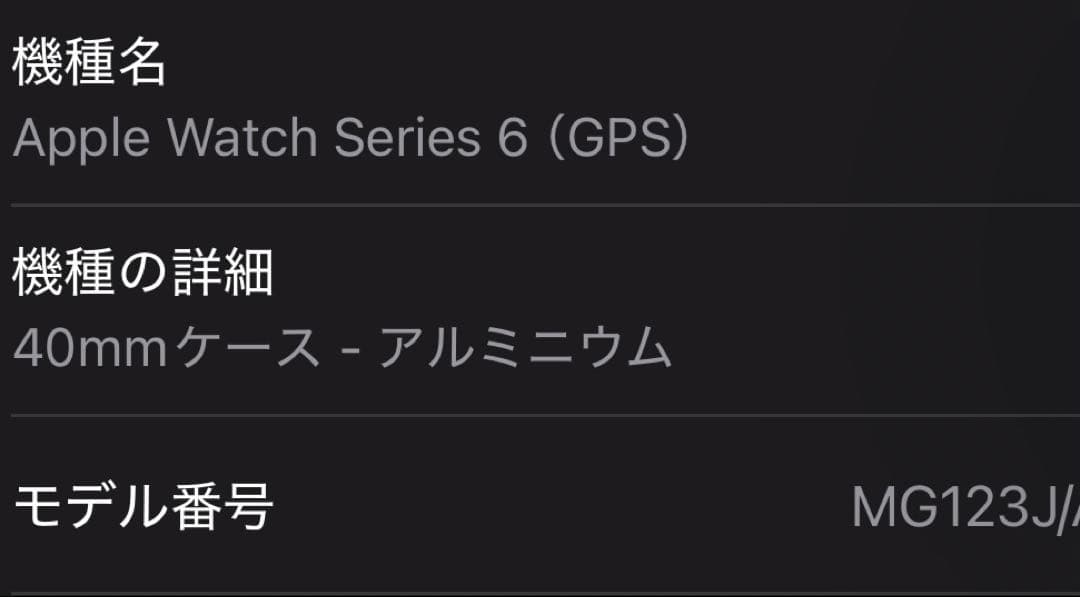 Apple Watch Series6 40mm カバー&バンド付の写真7枚目