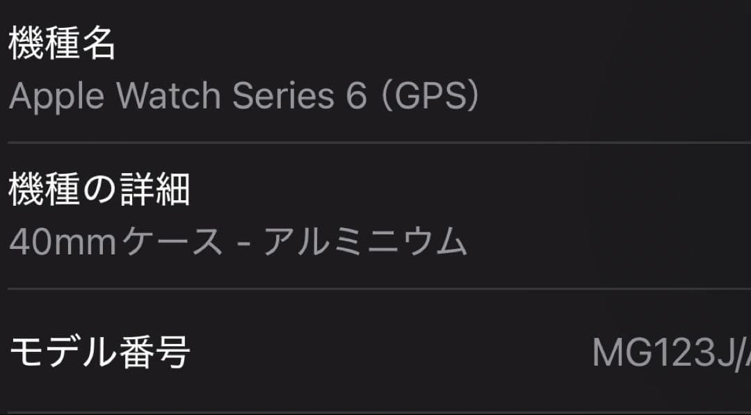 Apple Watch Series6 40mm カバー&バンド付の写真7枚目