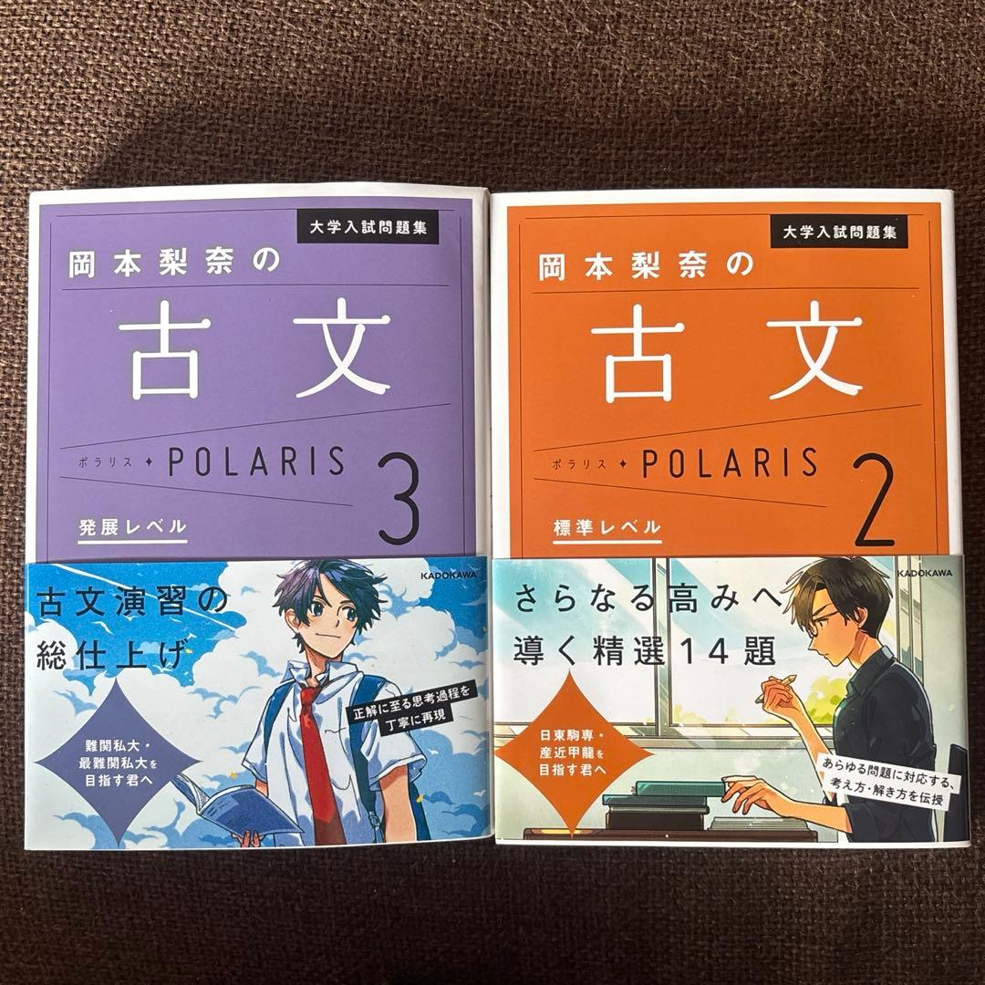 岡本梨奈の古文ポラリス 2・3 2冊セット