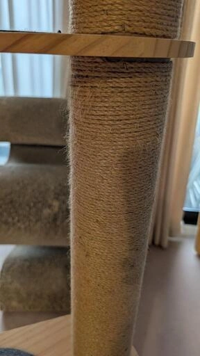 キャットタワーの写真2枚目