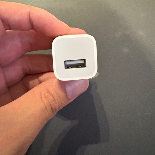 Apple AC