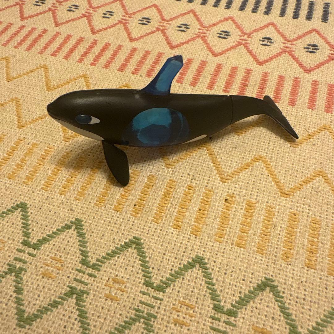 シャチ フィギュア ミニチュア カプセルトイ