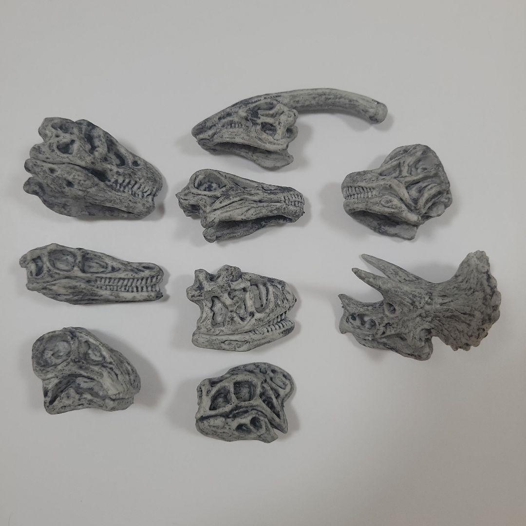 恐竜 頭骨 フィギュア 置物 9種セット