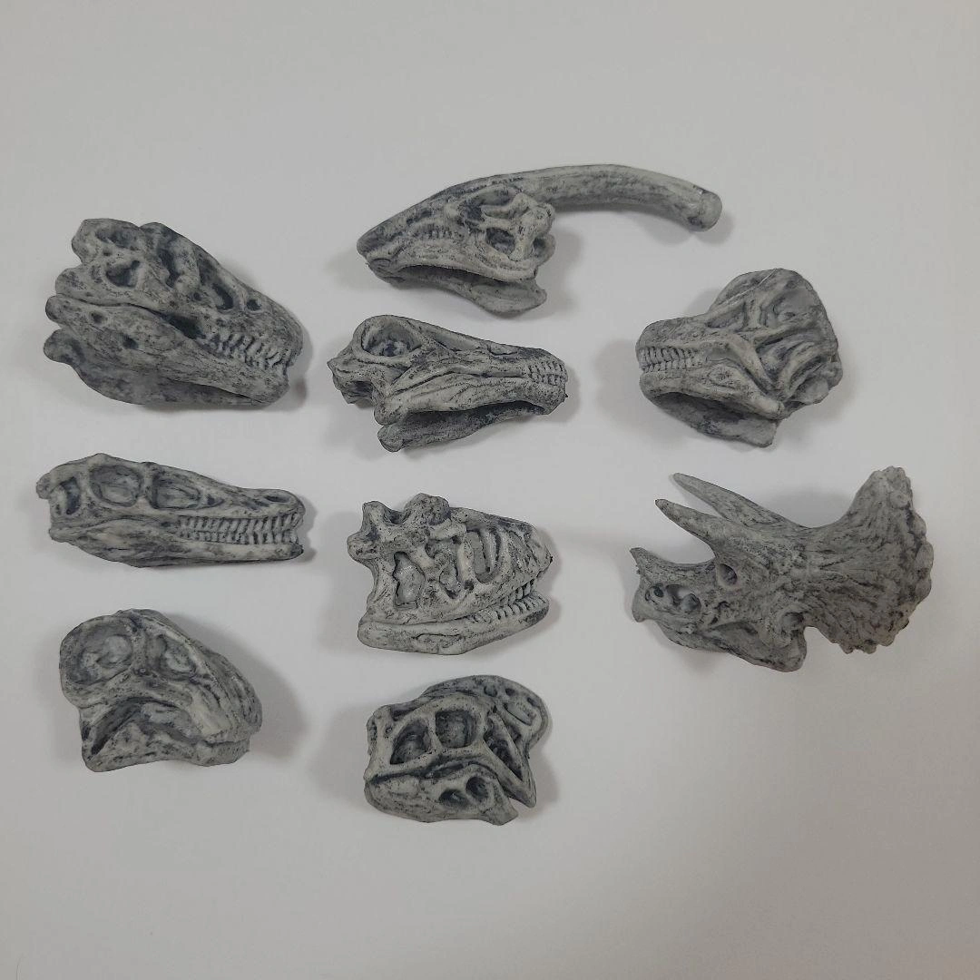 恐竜 頭骨 フィギュア 置物 9種セット