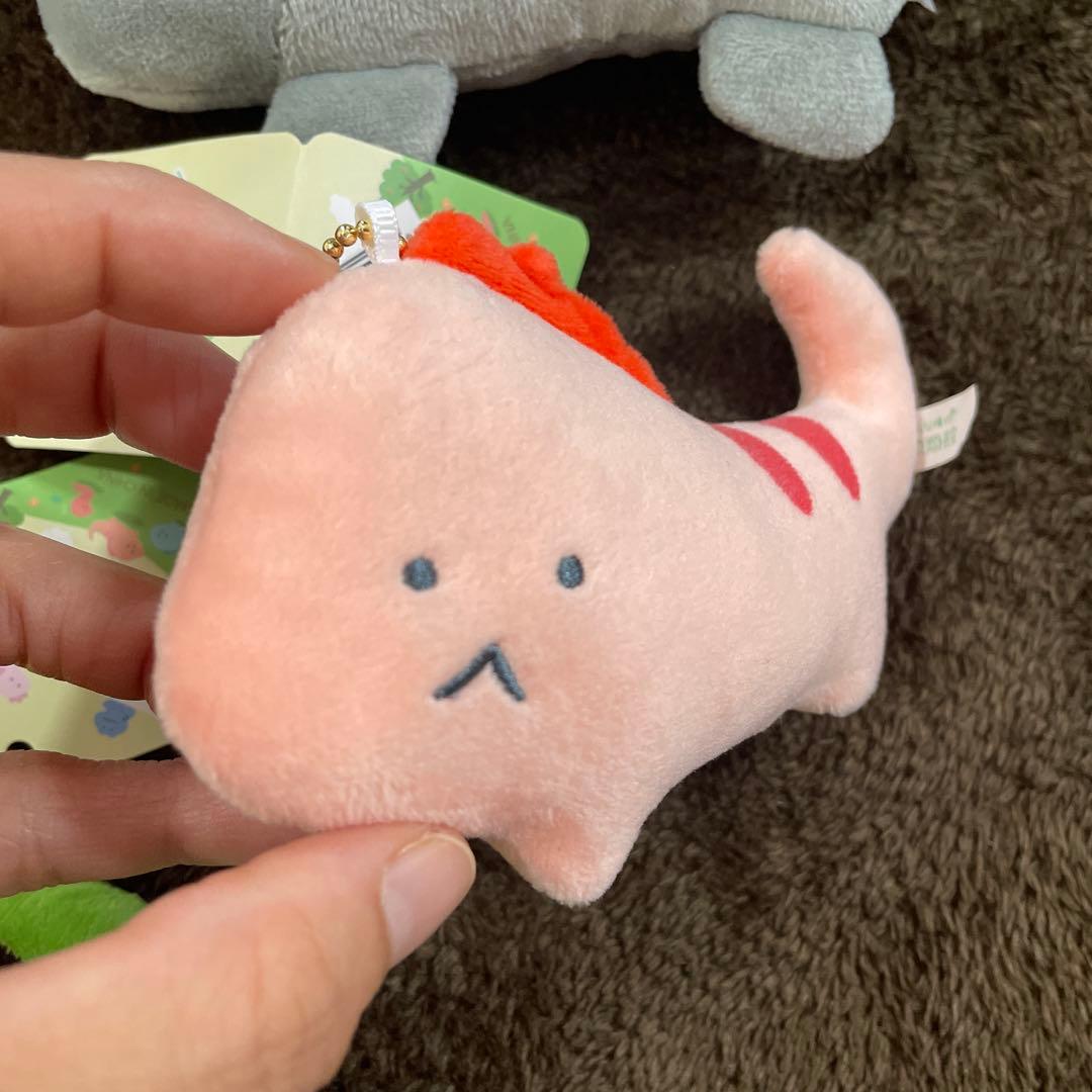 つぶらな瞳の爬虫類館3個セットの写真6枚目
