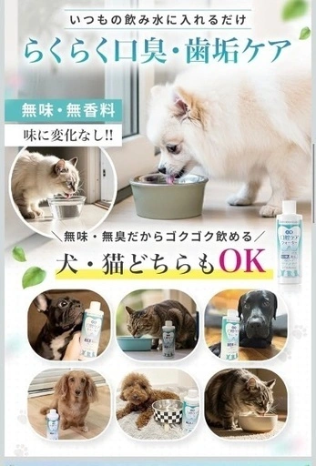 新品未開封 犬猫用 液体ハミガキ 口腔ケアウォーター ドクターワンテクト 250mlの写真2枚目