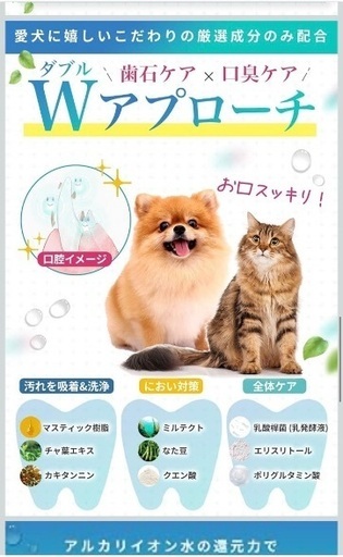 新品未開封 犬猫用 液体ハミガキ 口腔ケアウォーター ドクターワンテクト 250mlの写真4枚目
